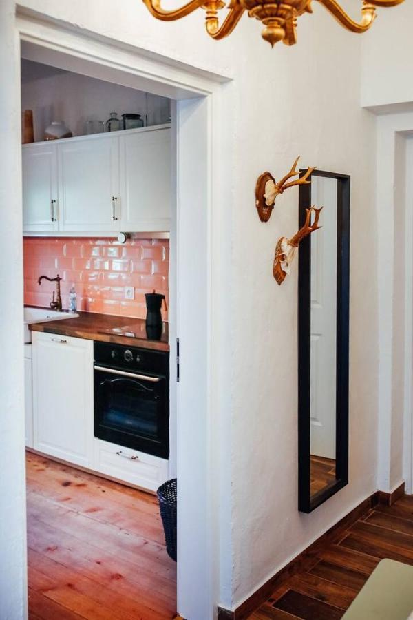 Apartment Aussee- Beletage Salzherrenhof- Kueche, Wlan, Netflix Bad Aussee Kültér fotó
